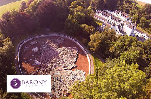 Barony Castle
