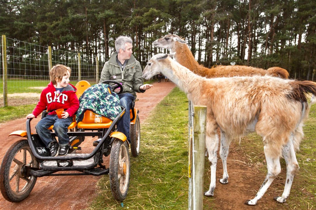 East Links Family Park