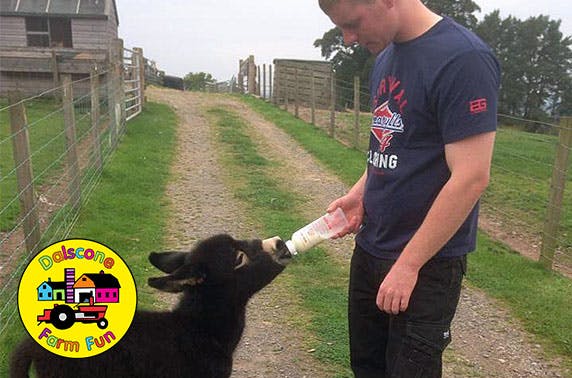 Dalscone Farm Fun 