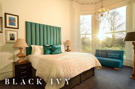 Black Ivy