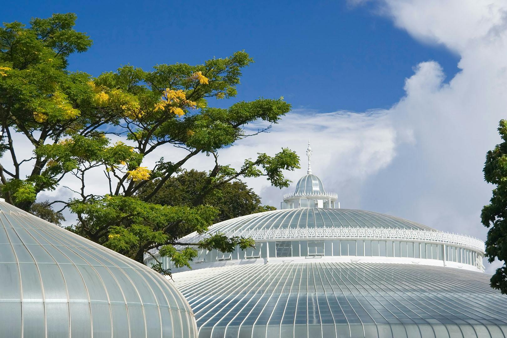 Bard in the Botanics