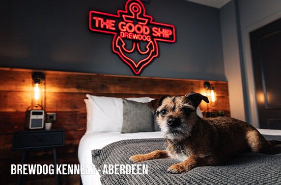 BrewDog Kennels Aberdeen