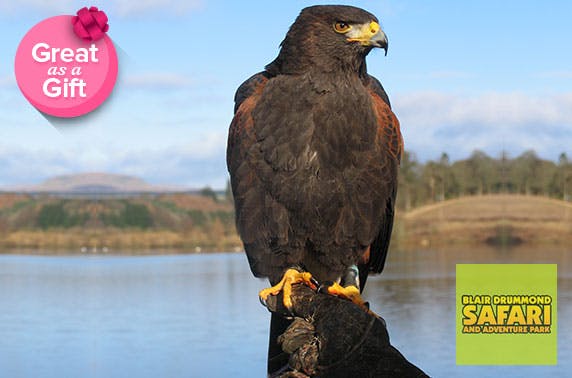 Blair Drummond Safari and Adventure Park 