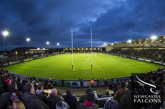 Newcastle Falcons