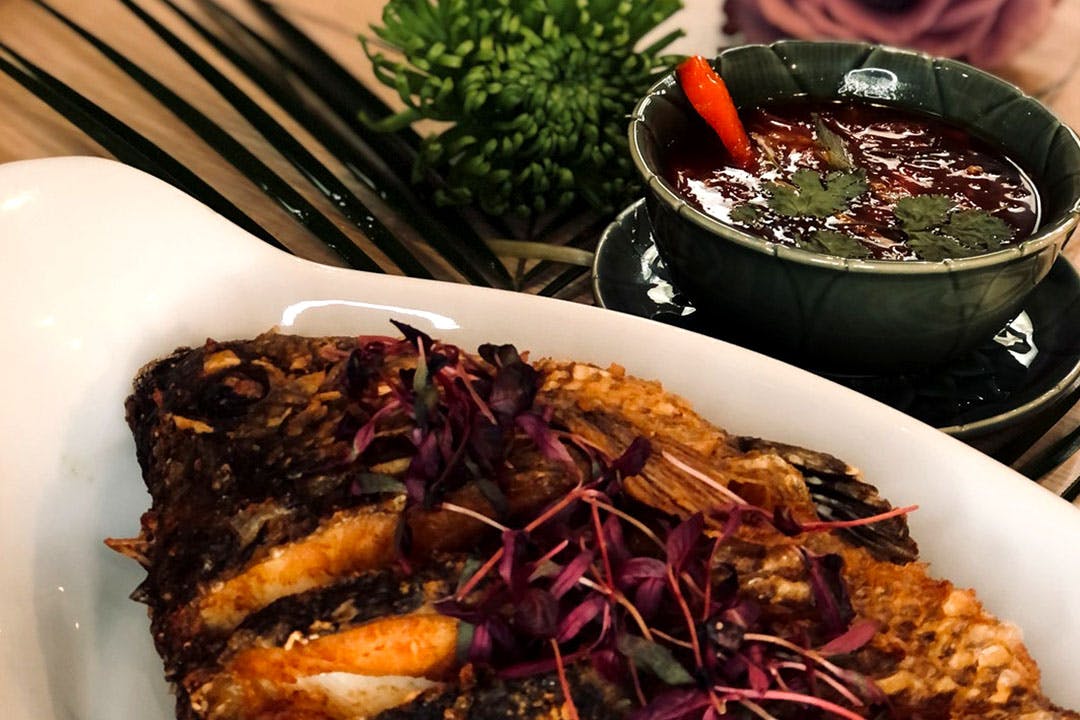 Gratitude Thai Lounge Bar