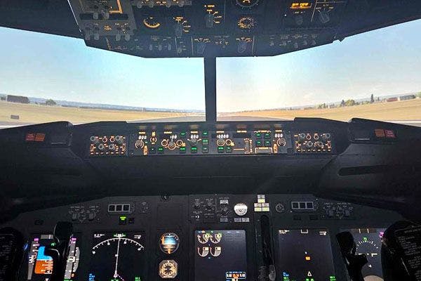 Virtual Flight