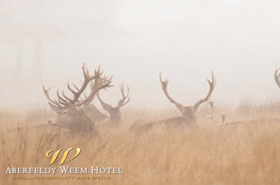 The Weem Hotel