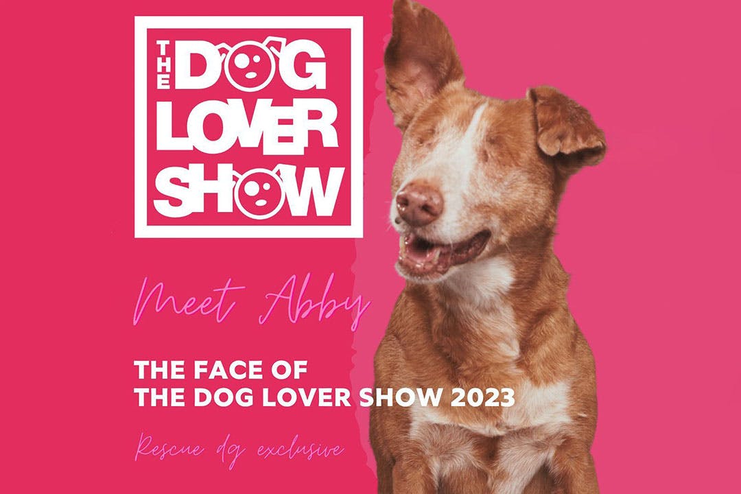 The Dog Lover Show