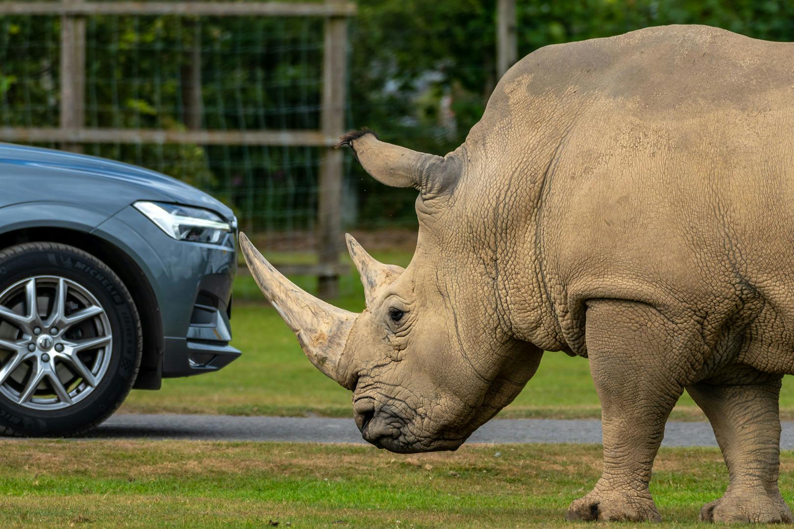 Macdonald Inchyra Hotel & Spa