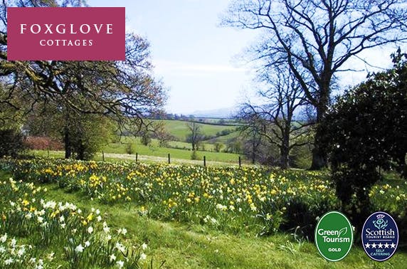Foxglove Cottages