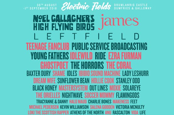 Electric Fields Festival