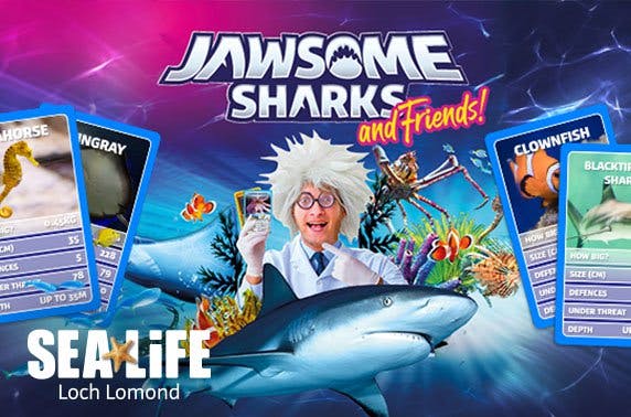 Loch Lomond Sea Life Centre