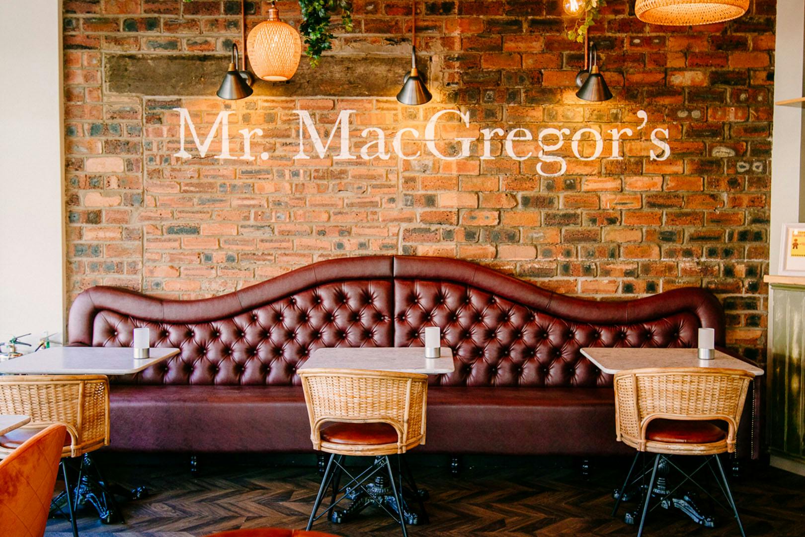 Mr MacGregor's