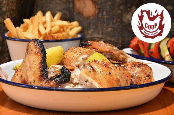 COOP Chicken House