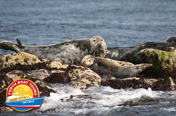 Forth Boat Tours