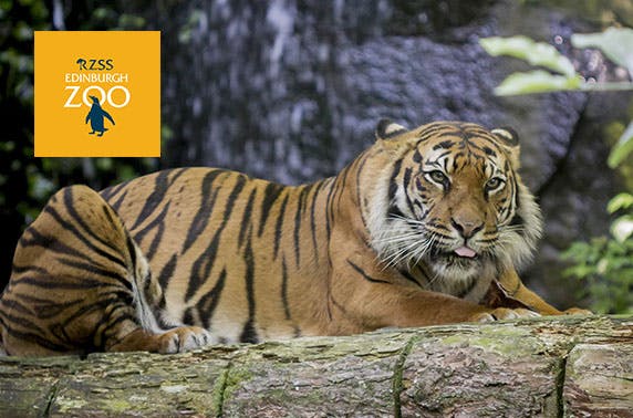 Edinburgh Zoo