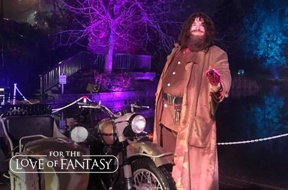 For the Love of Fantasy