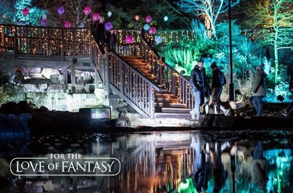 For the Love of Fantasy