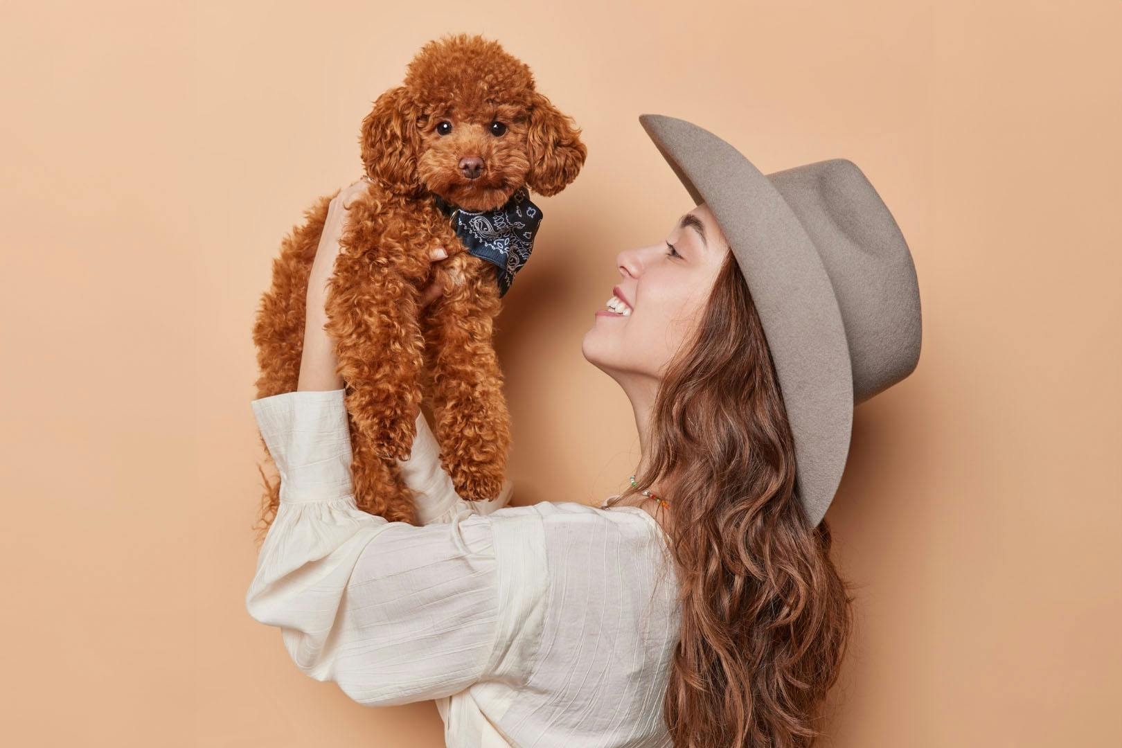 Pop Up Pooches at Revolution, Renfield Street