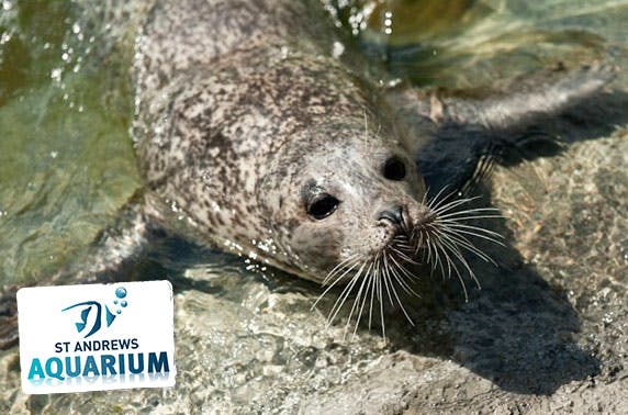 St Andrews Aquarium