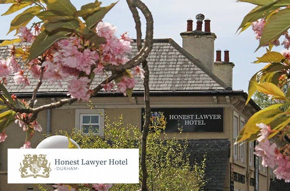 Honest Lawyer Hotel