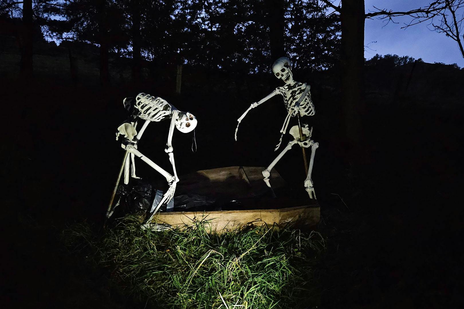 Auchingarrich Wildlife and Adventure Park