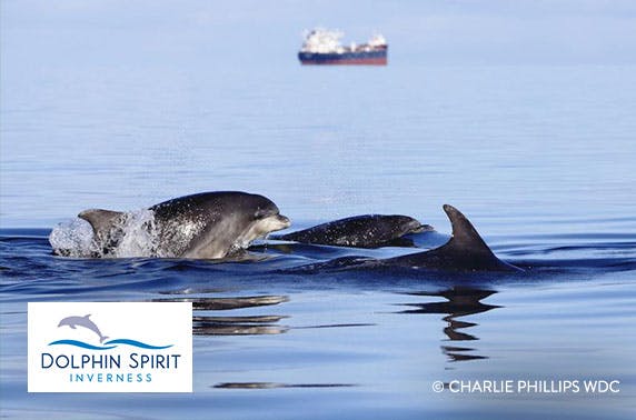 Dolphin Spirit Inverness