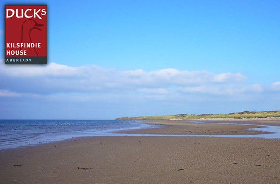Ducks at Kilspindie House