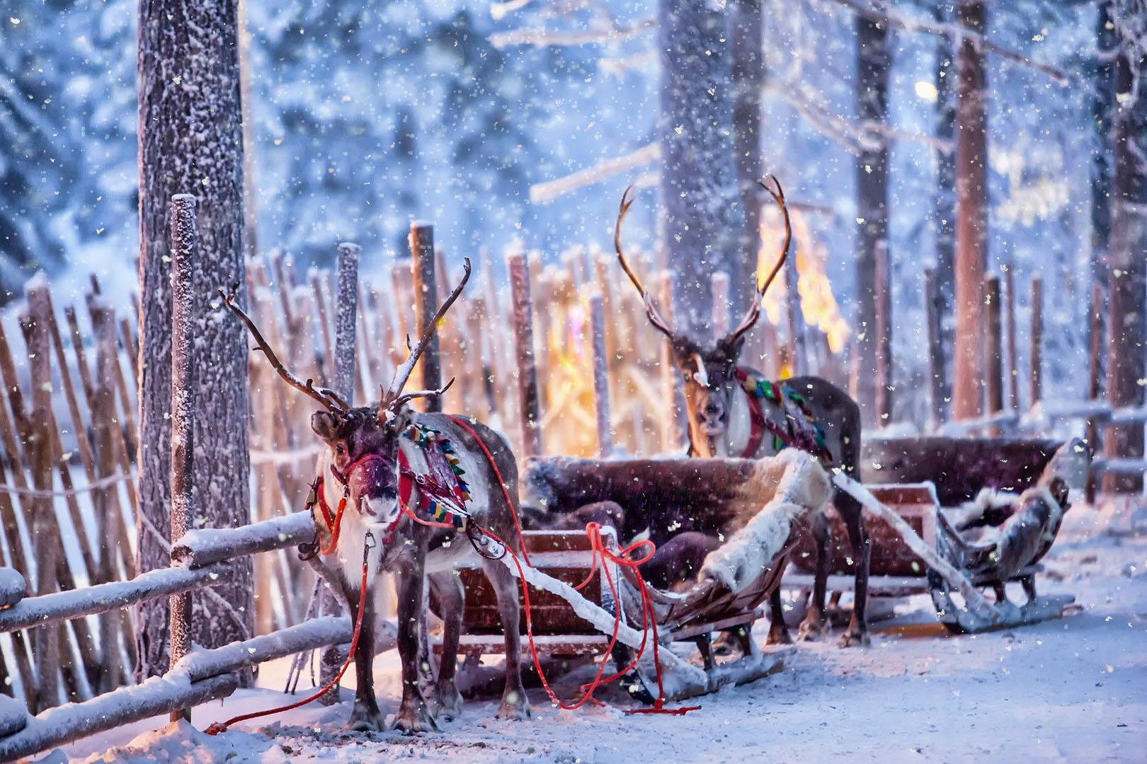 Santa's Grotto at Peebles Hydro Hotel
