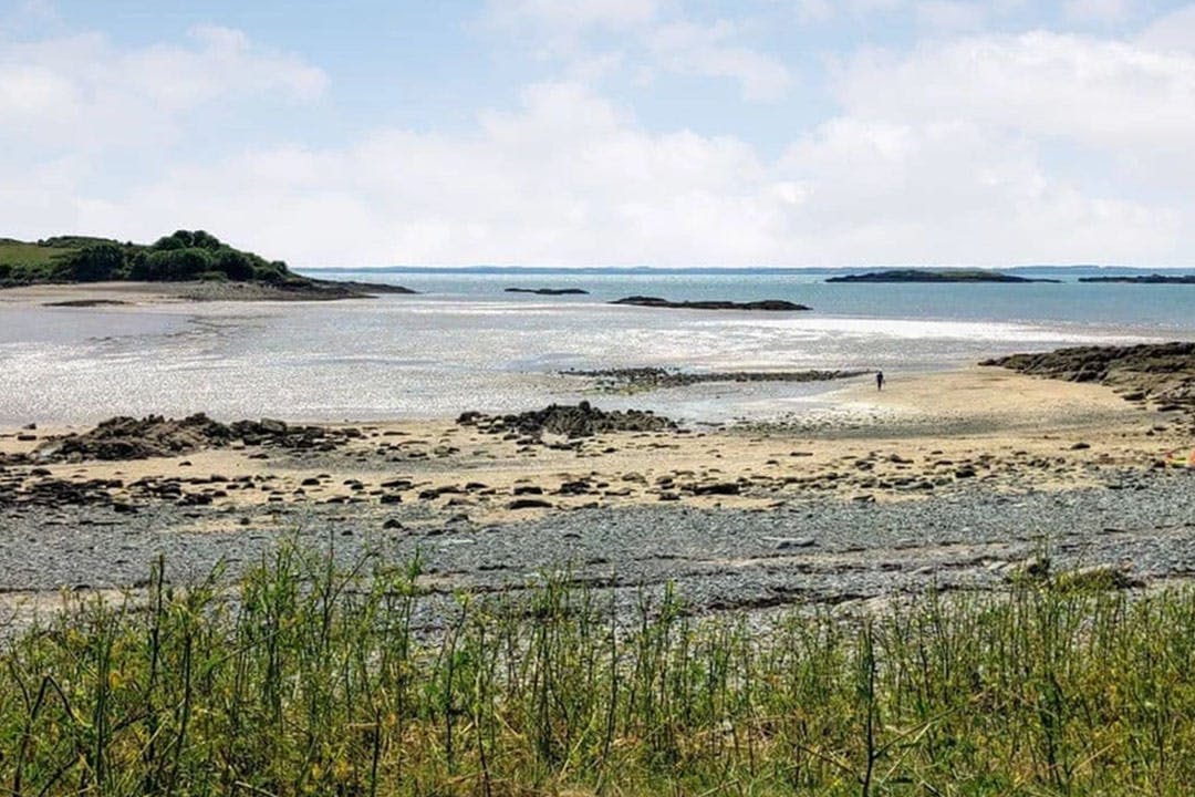 Galloway View