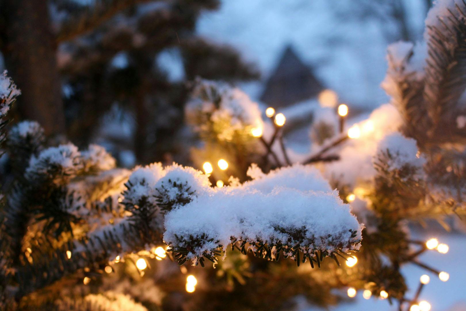 Festive train experience at Crieff Hydro