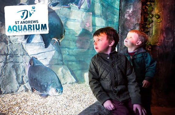 St Andrews Aquarium