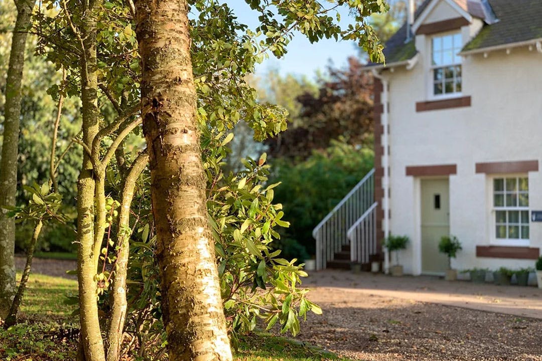 The Ghillie Luxury Bed & Breakfast