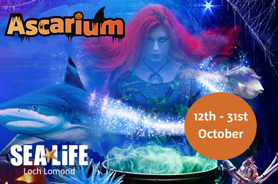 Loch Lomond Sea Life Centre