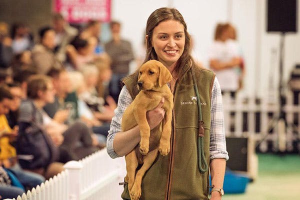 The Dog Lover Show
