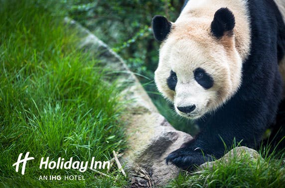 Holiday Inn Edinburgh Zoo