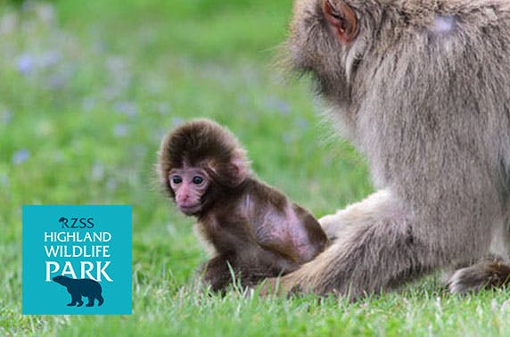 The Highland Wildlife Park