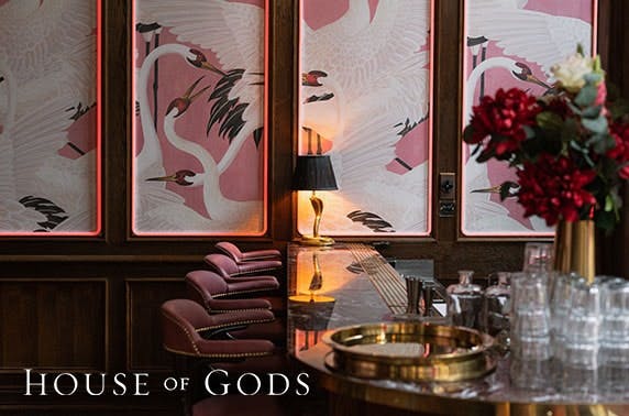 House Of Gods