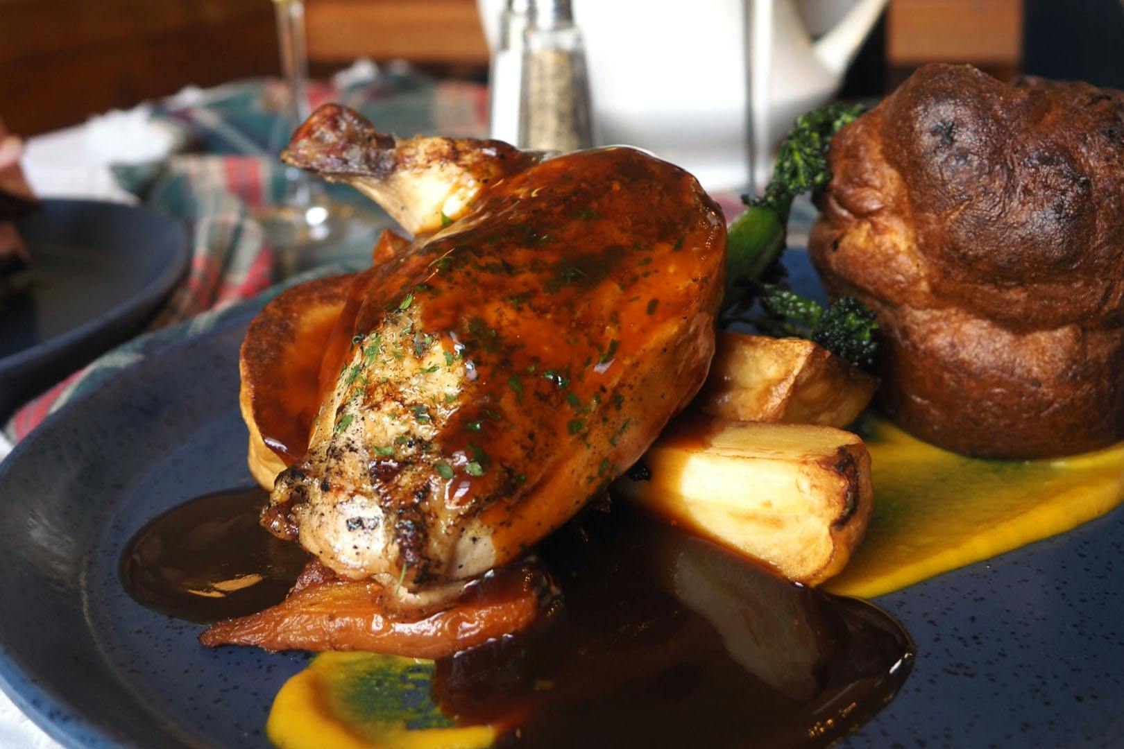 The Butterfly & the Pig