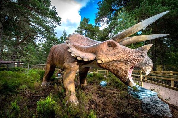 Landmark Forest Adventure Park