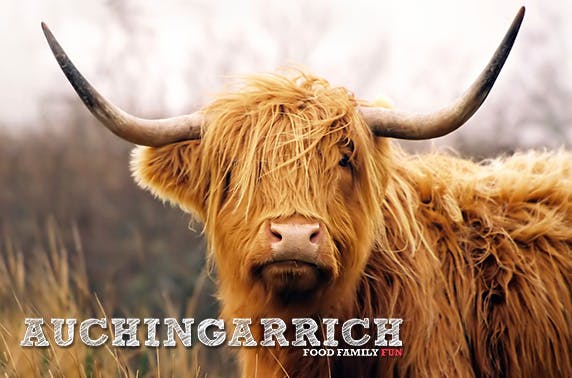 Auchingarrich Wildlife Centre