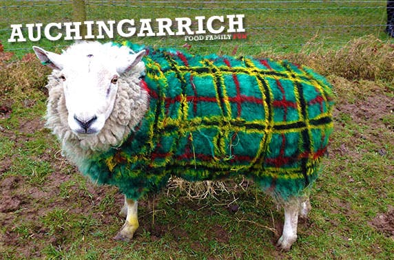 Auchingarrich Wildlife Centre