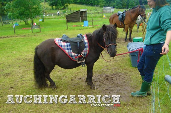 Auchingarrich Wildlife Centre