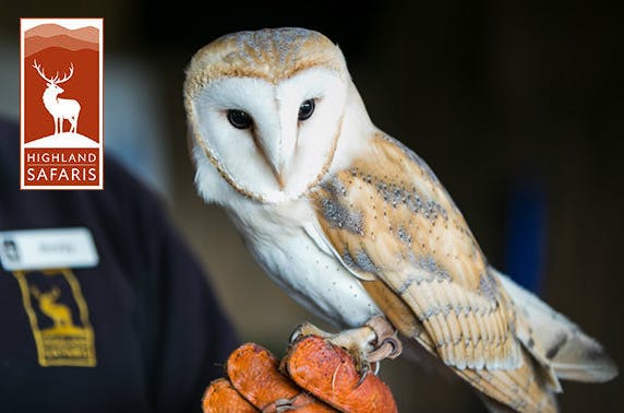 Highland Safaris