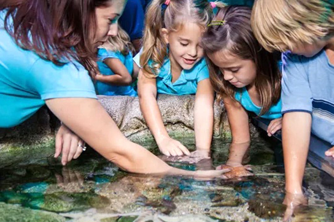 SEA LIFE Loch Lomond