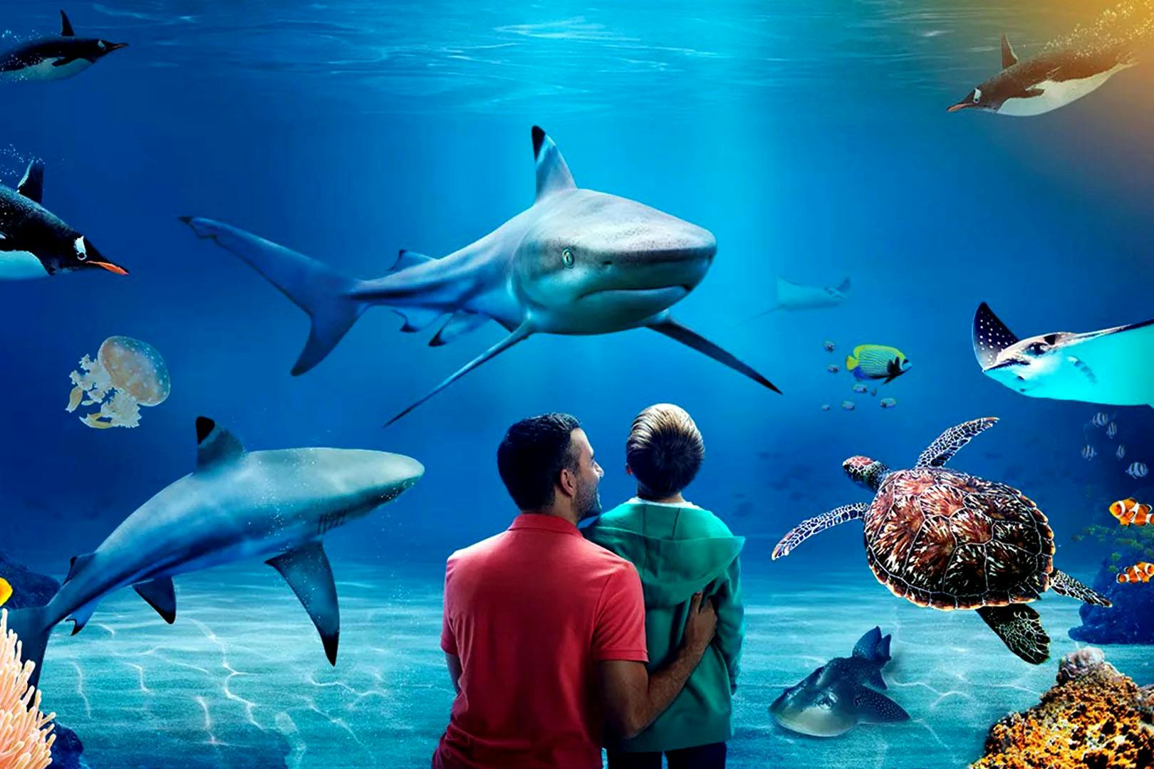 SEA LIFE Loch Lomond