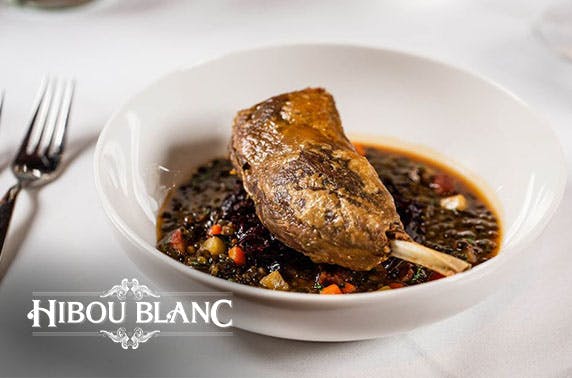 Hibou Blanc