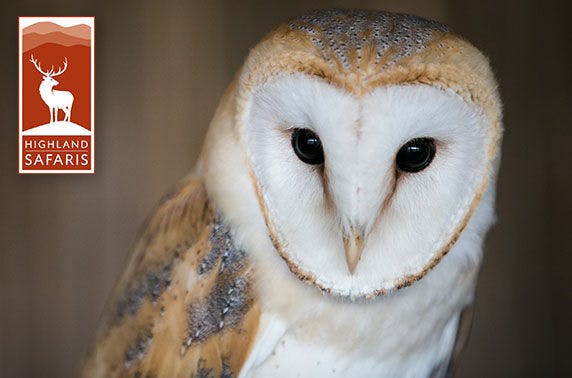 Highland Adventure Safaris Ltd.