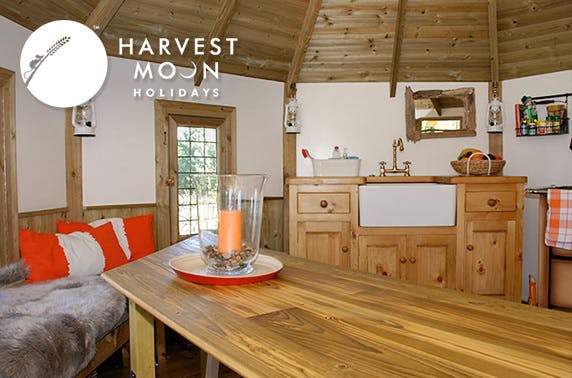 Harvest Moon Holidays