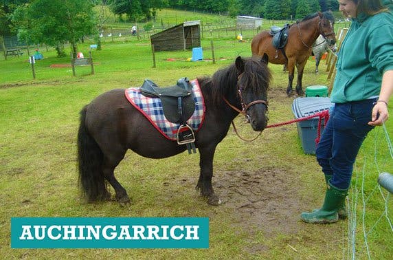 Auchingarrich Wildlife Centre 